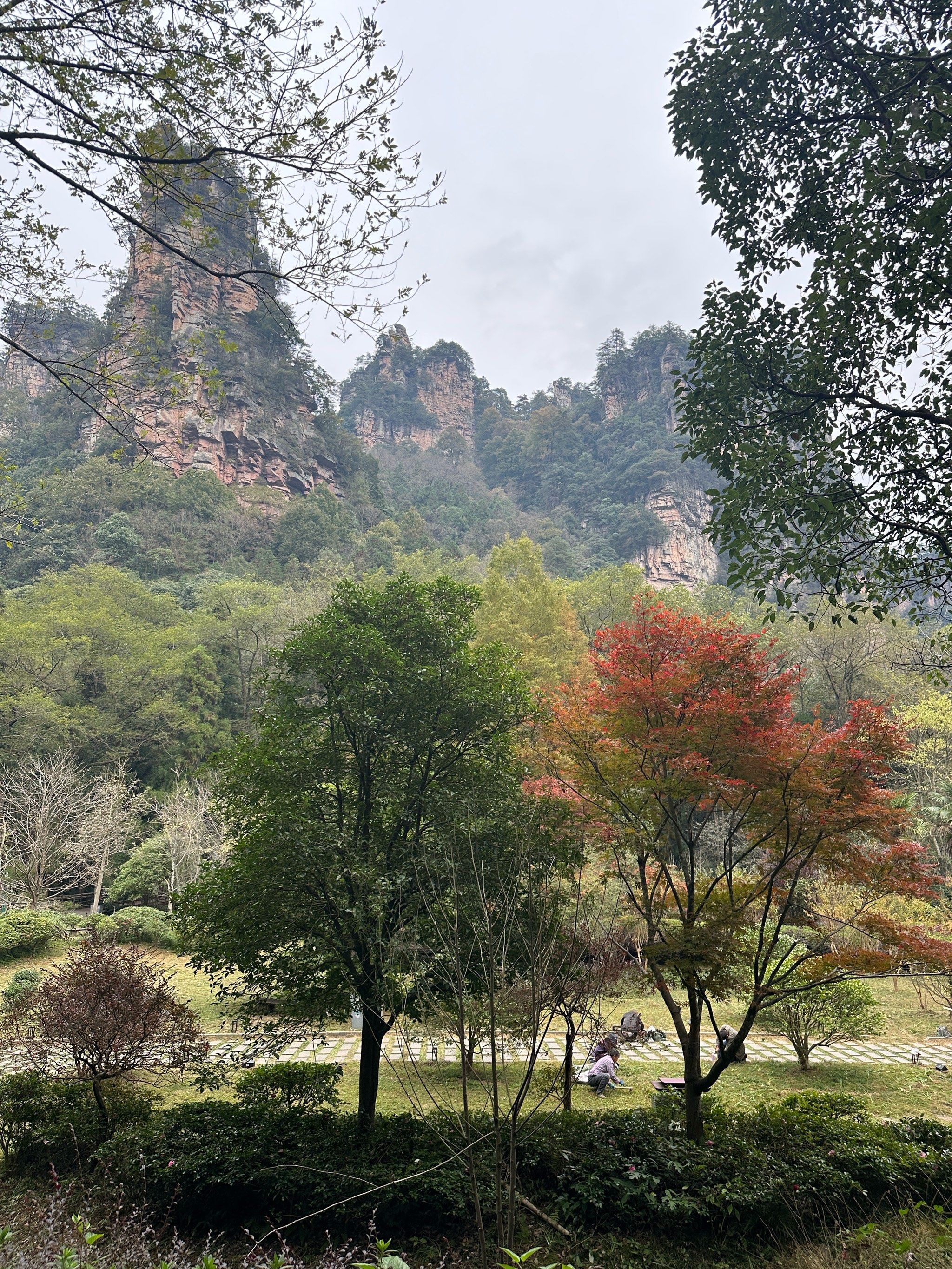 张家界天门山国家森林公园/张家界天门山国家森林公园文案-第1张图片