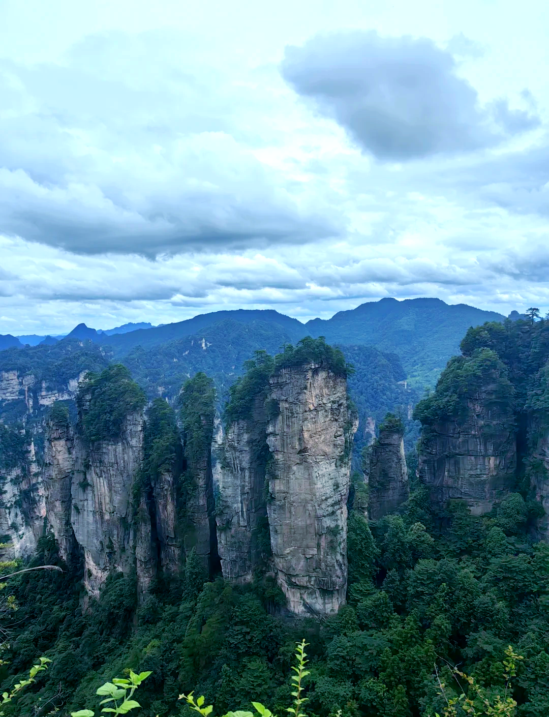 张家界旅游攻略路线图(张家界旅游攻略,旅游须知)-第2张图片