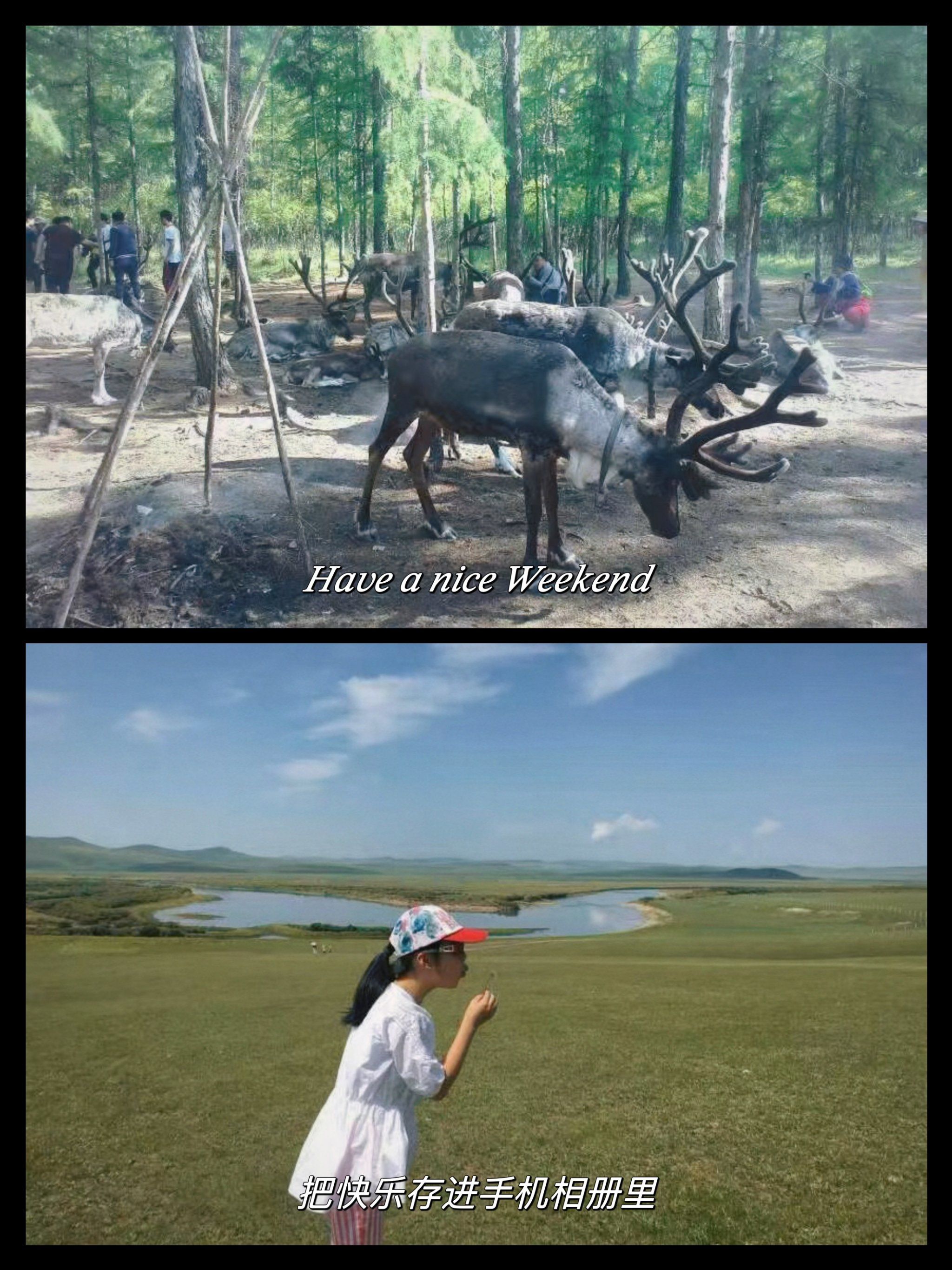 呼伦贝尔旅游景点攻略/呼伦贝尔旅游景点攻略 景区-第1张图片