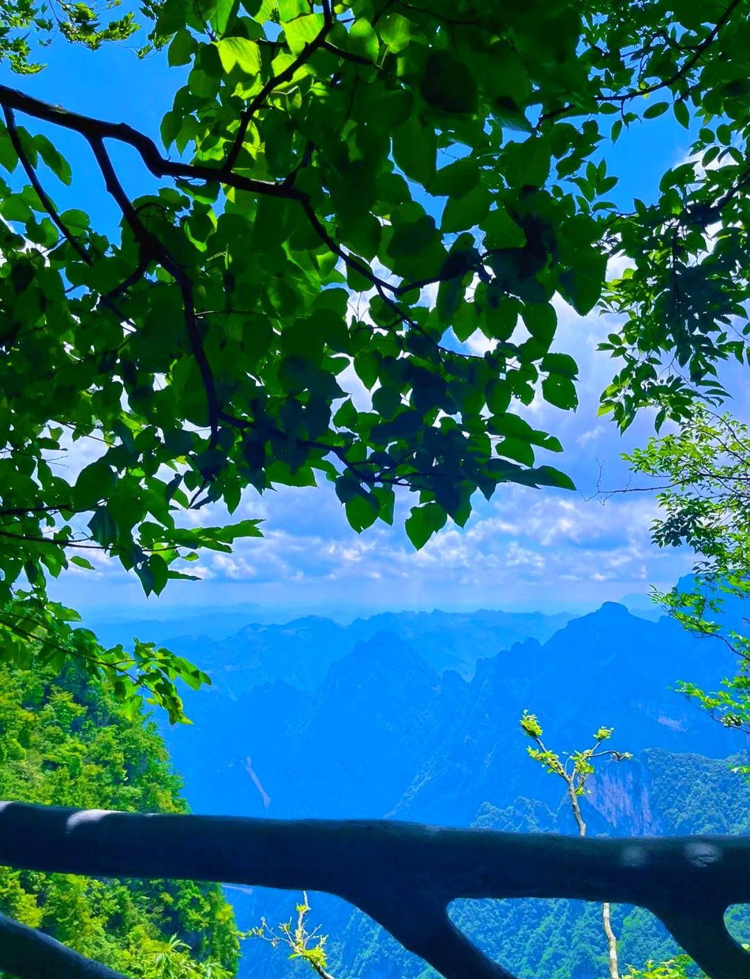 张家界天门山门票费用一览表2022/张家界天门山门票多少钱一张-第2张图片