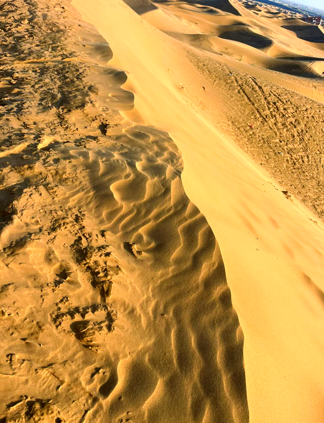 内蒙自驾游最佳路线攻略(山东去内蒙自驾游最佳路线攻略)-第1张图片