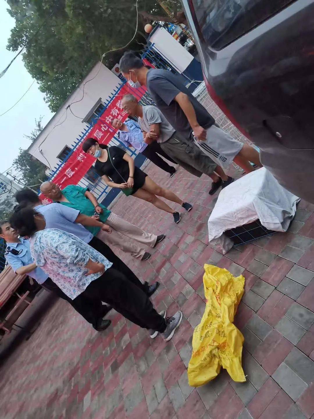 【石家庄检出30例阳性,石家庄检出阳性259人】-第2张图片