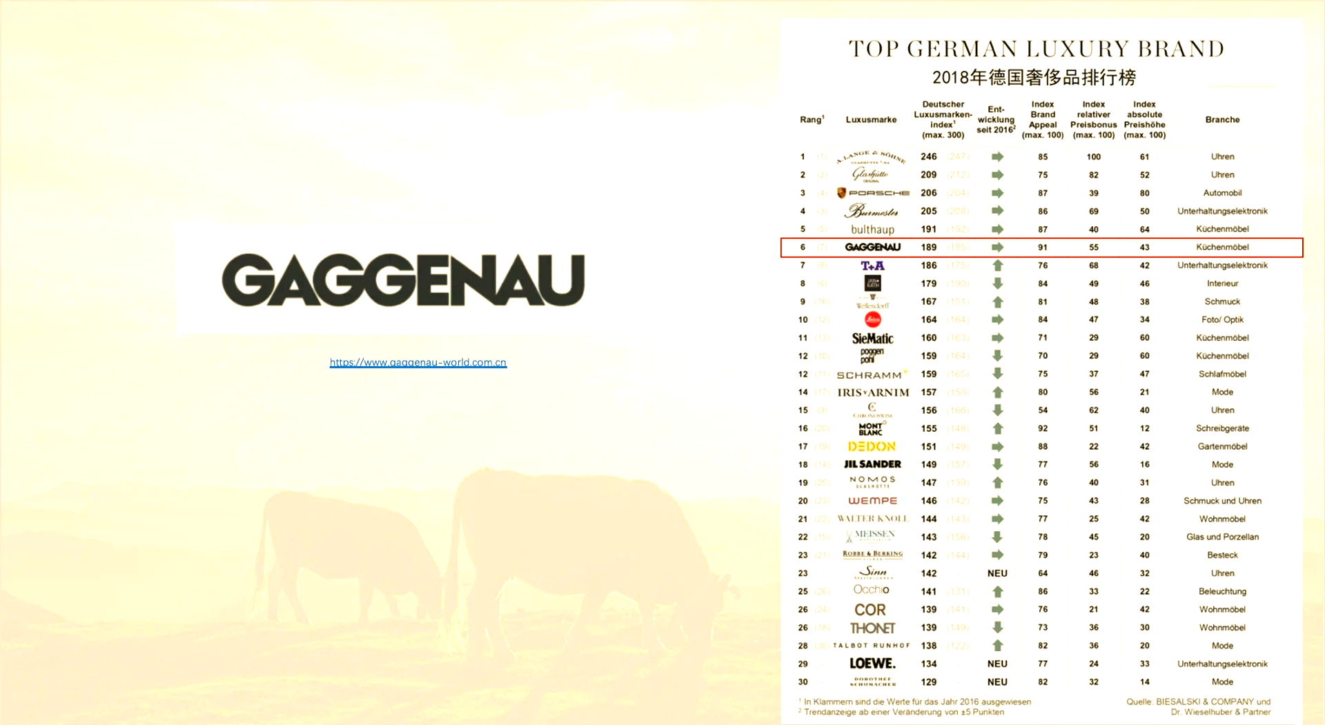 前十小家电品牌/国内知名小家电品牌-第2张图片