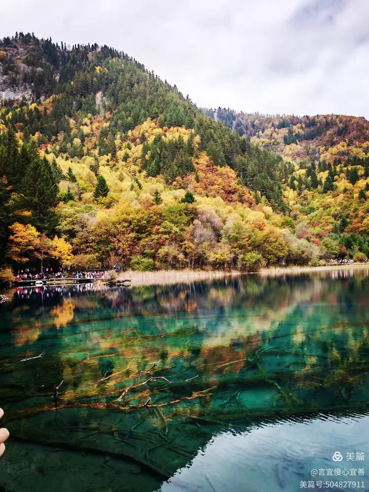 四川九寨沟图片大全/九寨沟真实图片-第1张图片